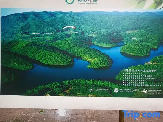 Southern Sichuan Bamboo Sea Hexie Farm Stay