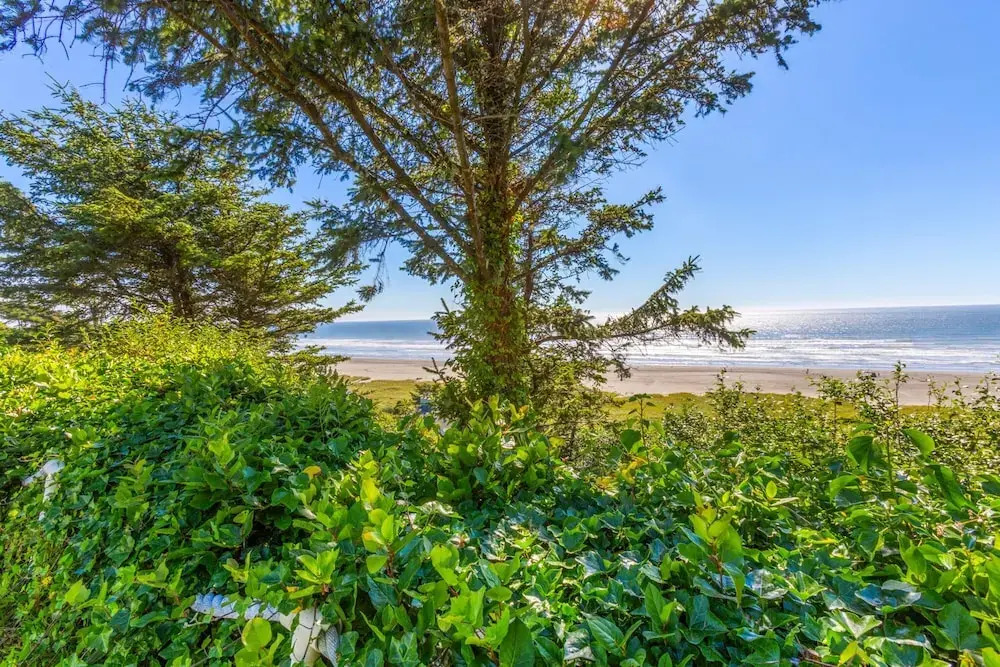 The Searise Cottage in Hoquiam