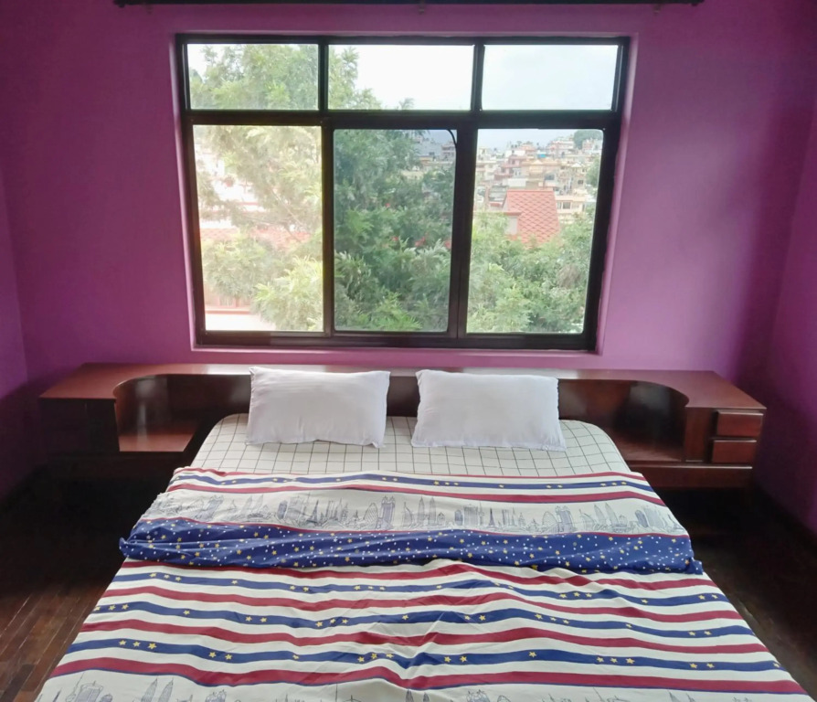 Monkey Bunky-3Monkeys Backpackers Hostel