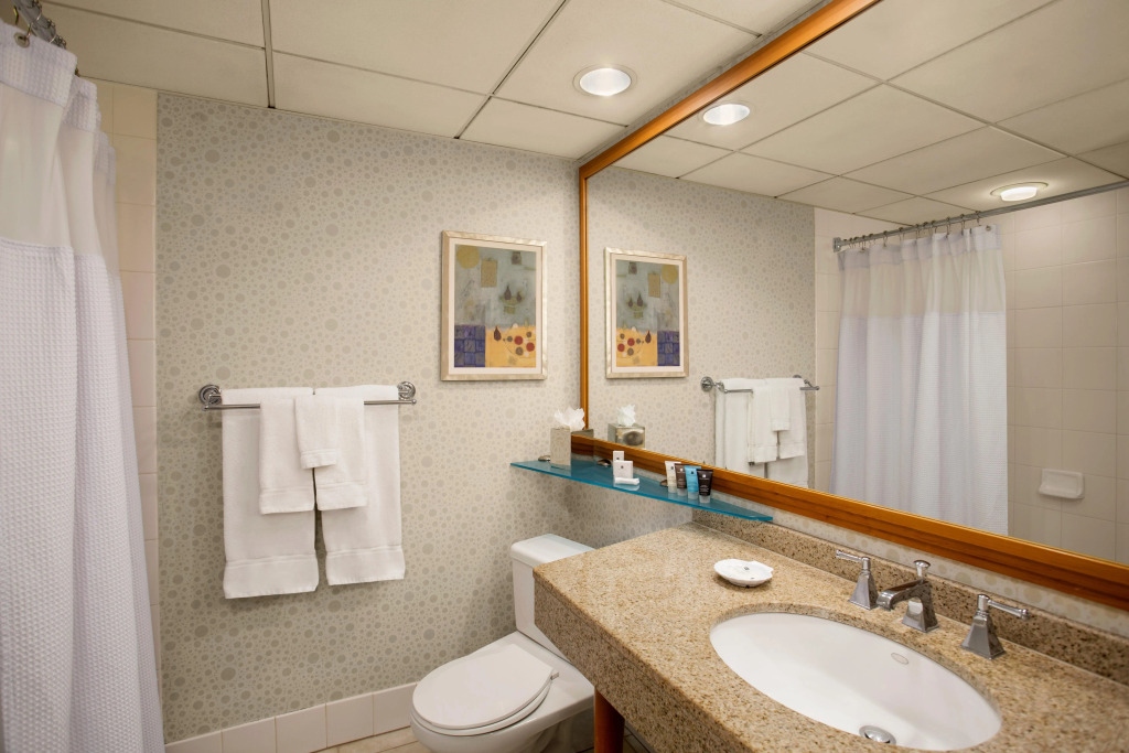 Crowne Plaza San Francisco Airport by IHG
