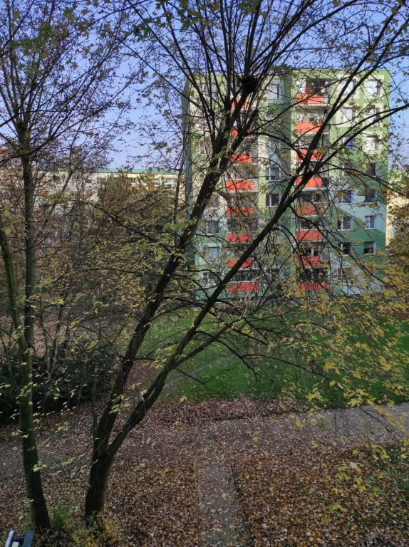 Stiborka