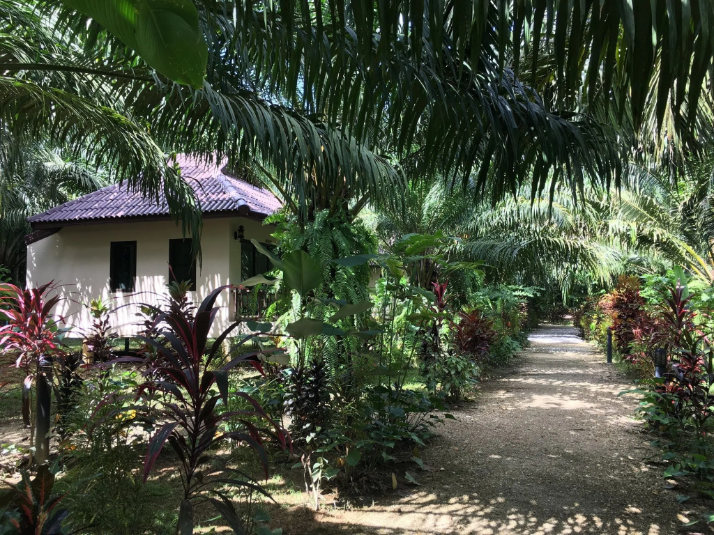 Khao Sok Palm Garden Resort