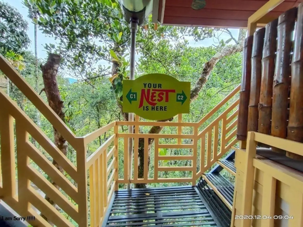 Chalona Jungle Eco Stay