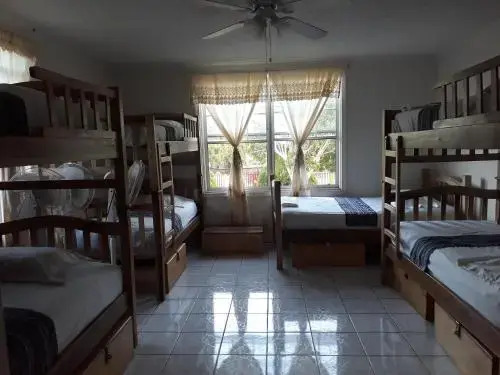 Island Roots Hostel