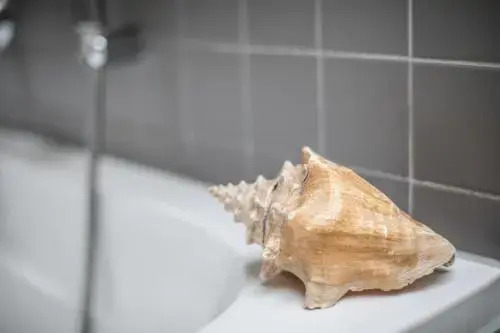 Weidevilla 14 auf Ameland