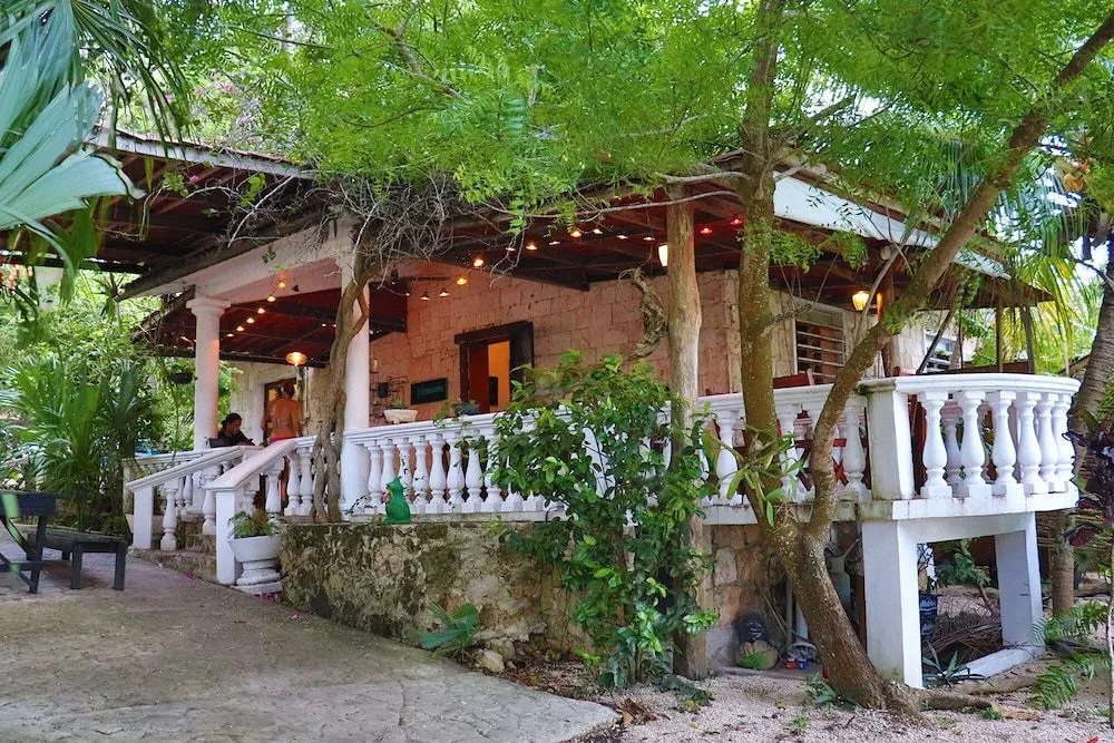 Casa Tortuga Backpacker