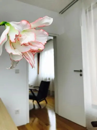Design Apartment in Park