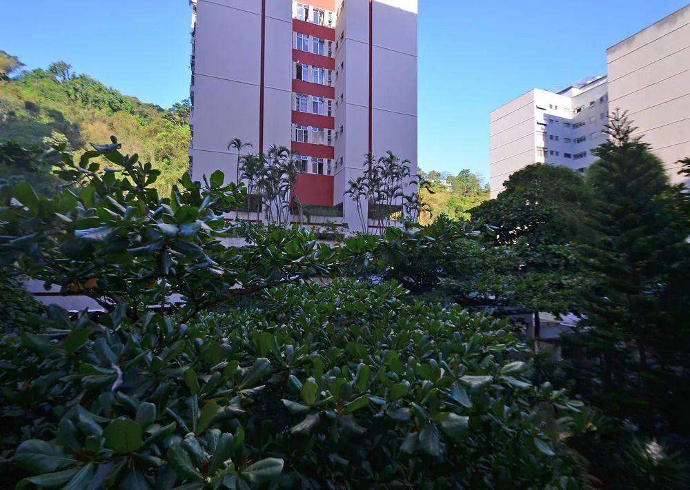 Rio Apartments RDL 111