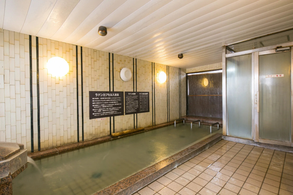 Hotel Shiroyama