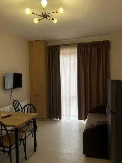 1-bedroom appartment in the centre of bakuriani 3