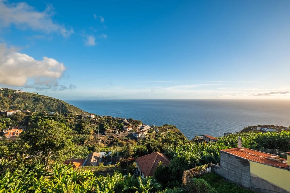 White Rabbit I by Madeira Sun Travel