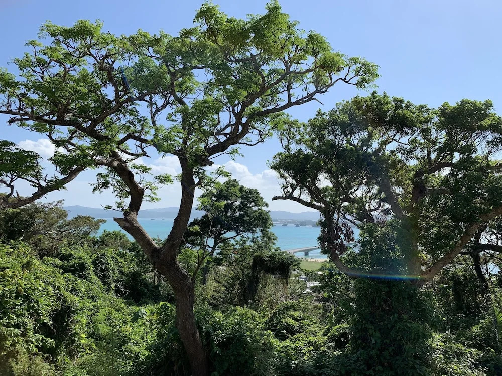 Villa Leilani