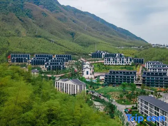 Yunman 16 (Anji Yunshang Grassland Panda Tribe Adventure Park)