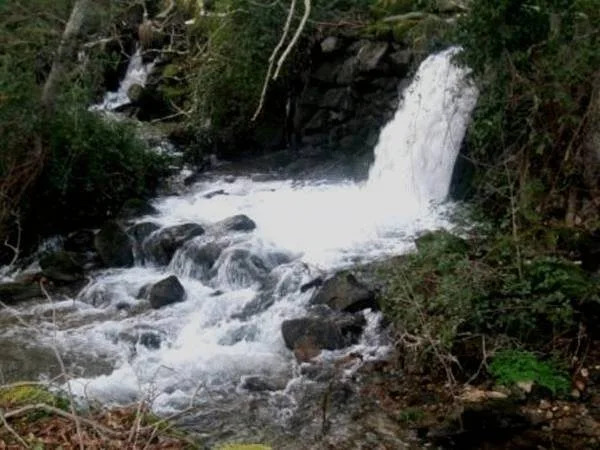 Quinta Do Lagar Da Moira-turismo Rural E Habitação Lda