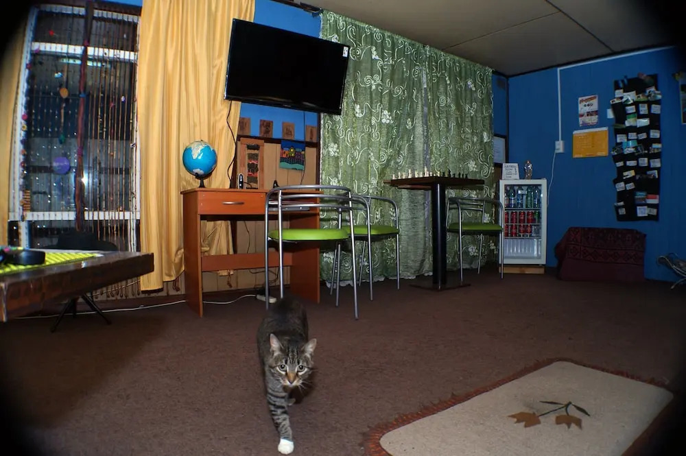 Hostal Entretenido
