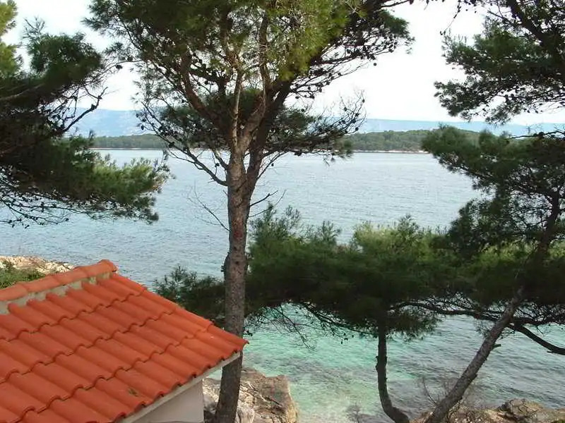 House Ivo