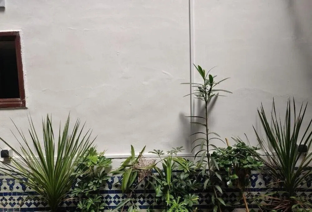 Sendis Hostel