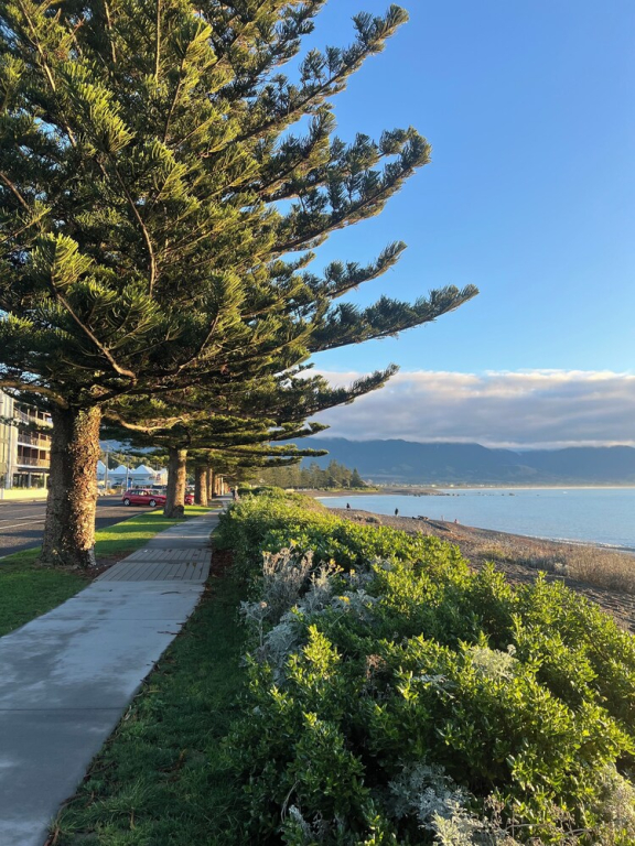 Kaikoura Waterfront Apartments