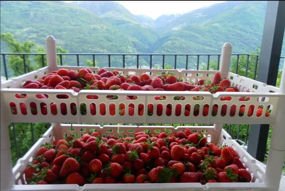 Agriturismo da Ysy