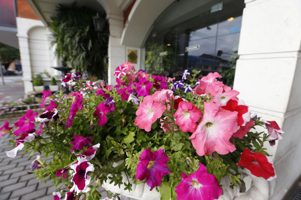 Hotel Himmelblau Blumenau - Centro de Blumenau, próximo ao Neumarkt Shopping