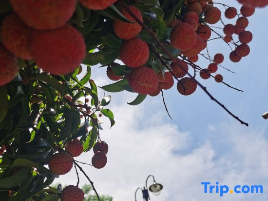 Taishan Yuhaixin homestay