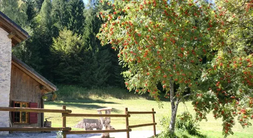 B&B Alpebraus
