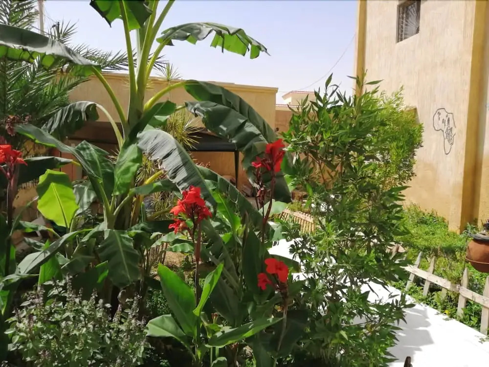 Auberge Samiraa - Hostel