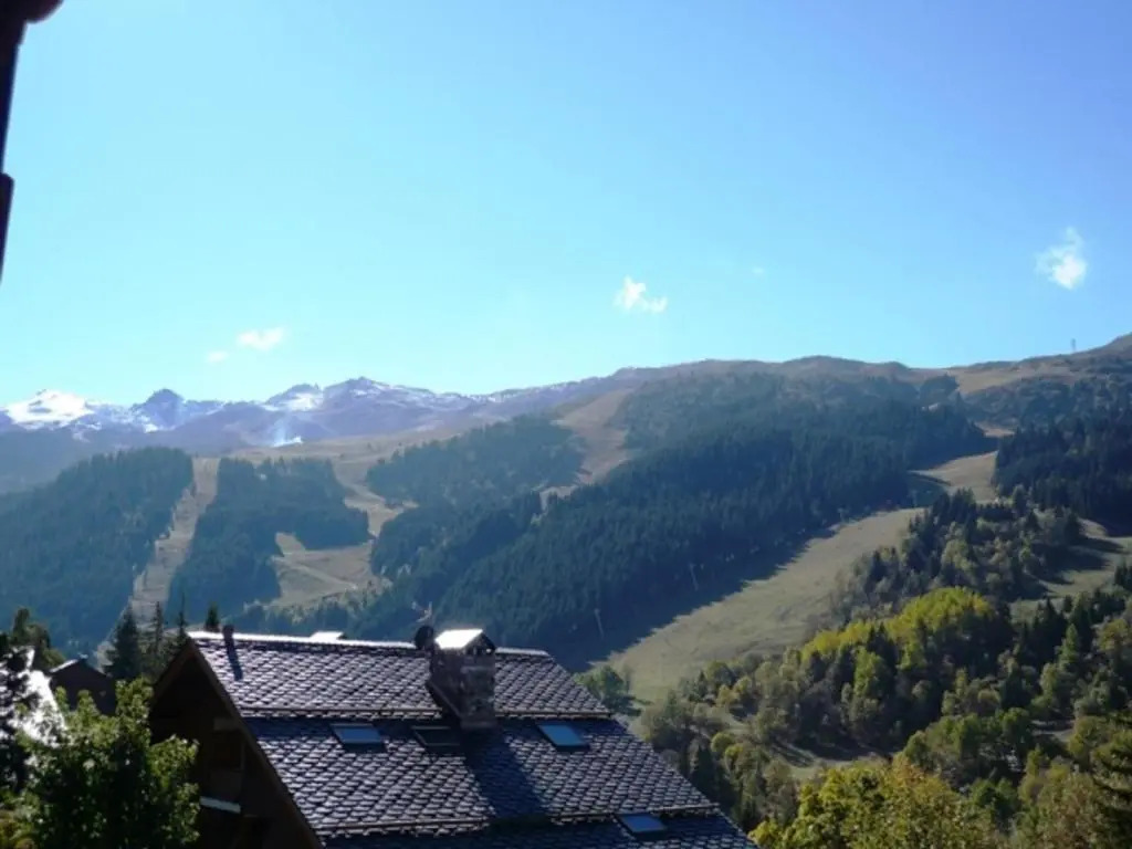 Appartement Méribel, 3 pièces, 6 personnes - FR-1-411-185