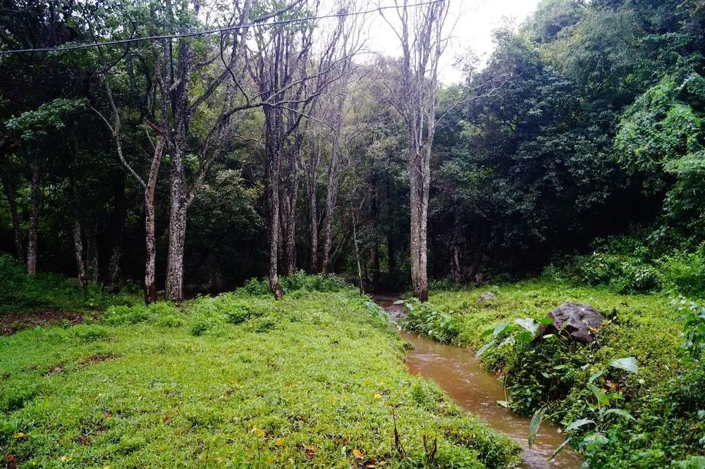 Secret Valley Jungle Resort