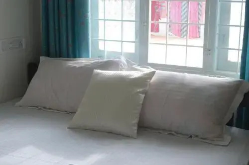 The Pod Cochin Homestay