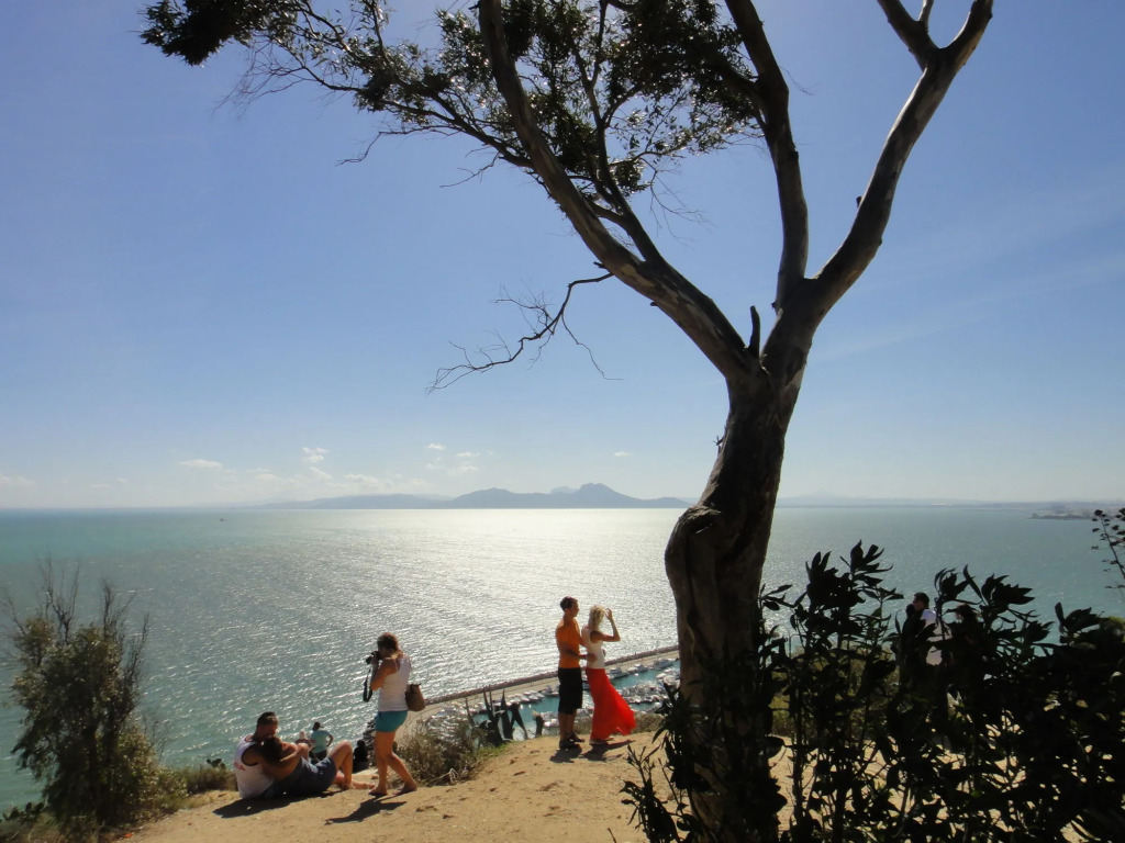 Dar El Fell Sidi Bou Said - Adults Only