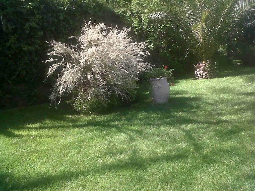 My Home in Sicily