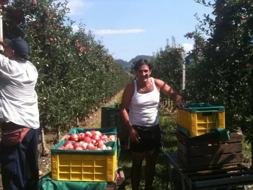 Agriturismo Linda