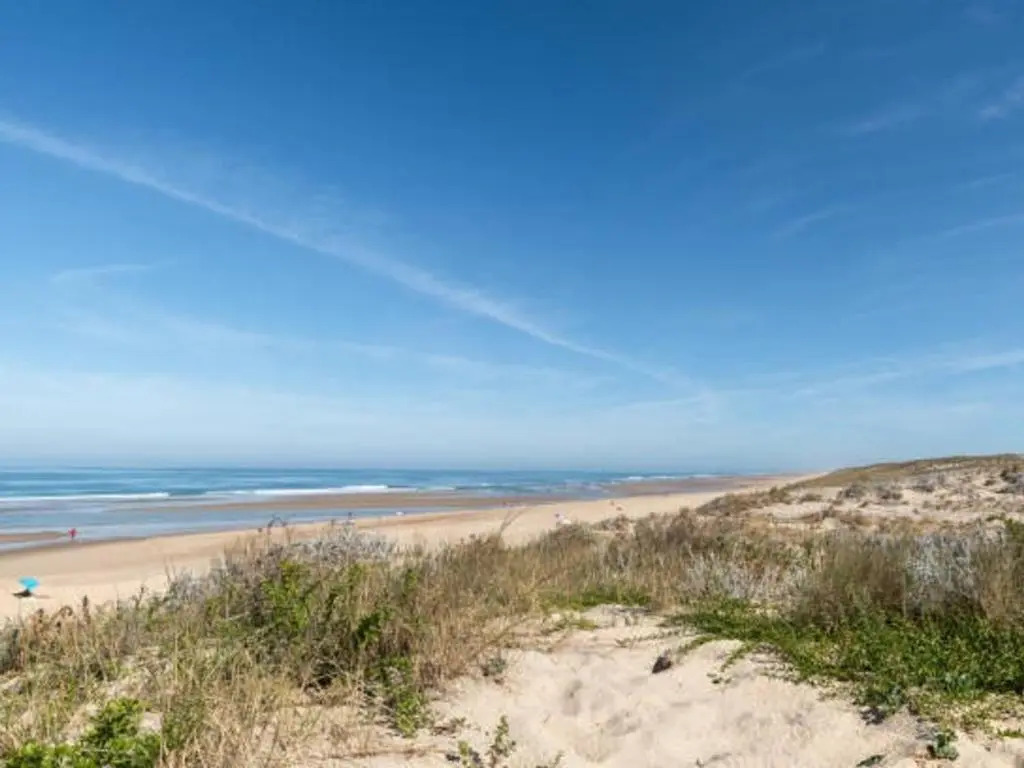 Appartement Biscarrosse Plage, 1 pièce, 4 personnes - FR-1-319-447