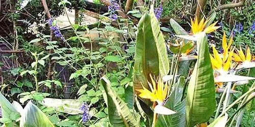 La Gallina Felice B&B
