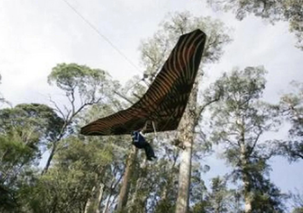 Tahune Lodge