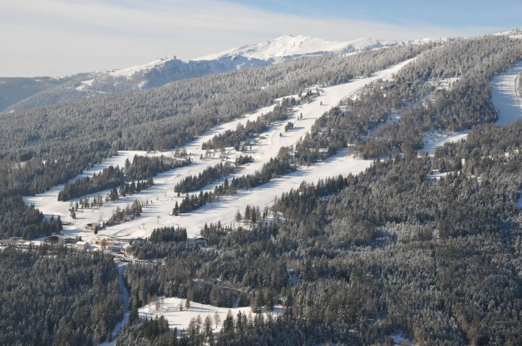 Chaletdorf-Fanningberg