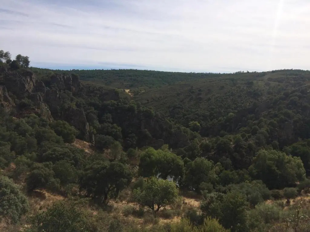 La Cerca Del Alcornoque