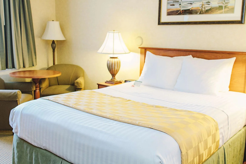 Lavissh Inn and Suites