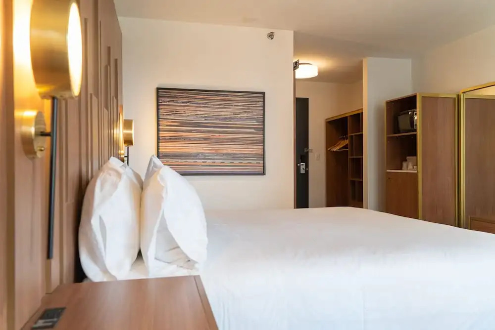 Hotel Indigo Detroit Downtown by IHG