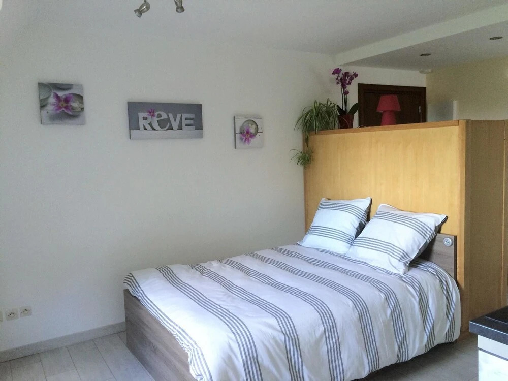 Studio in Ribeauville, With Wonderful Mountain View and Wifi - 33 km F