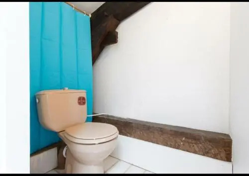 Nouvel Oasis 1
