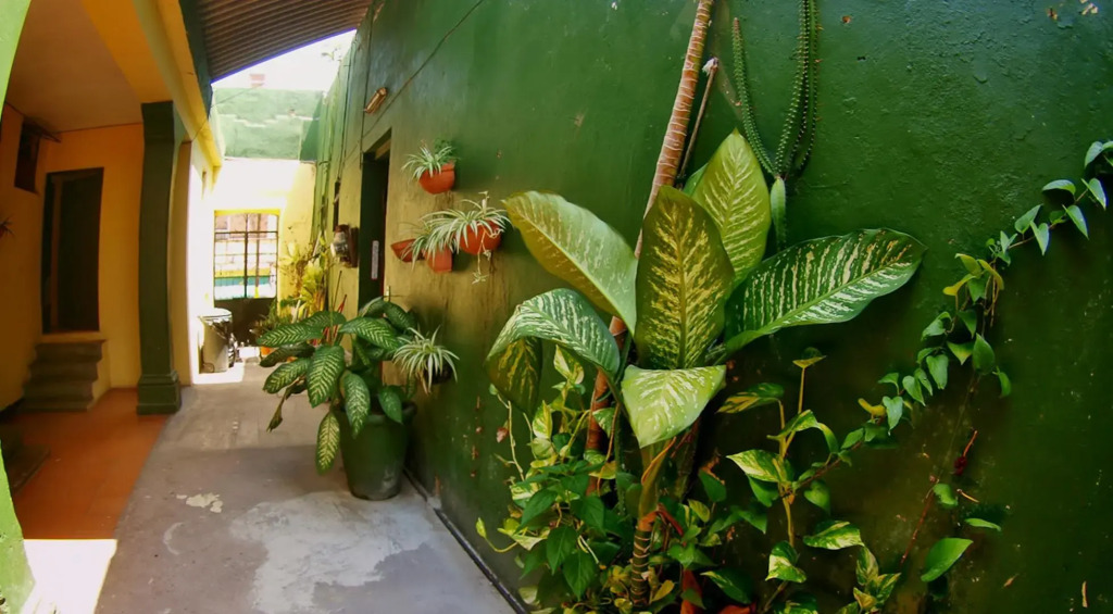 Hotel México Mazatlan