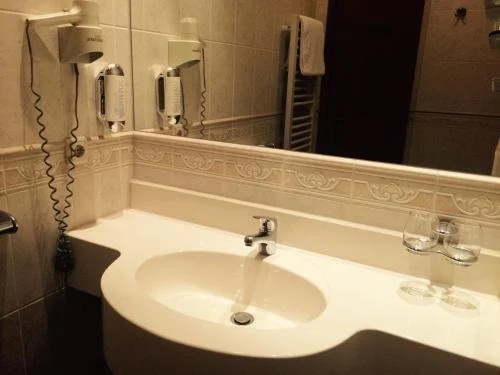 Hotel Goldner Loewe