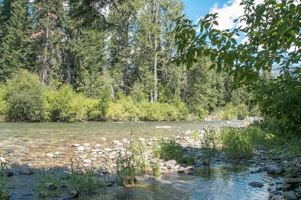 Serenity Pines Lodge in Shugart Flats