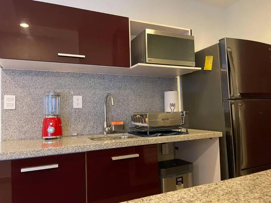Argento Apartment in New Polanco