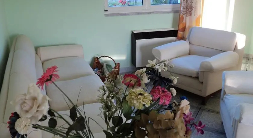 Oasi