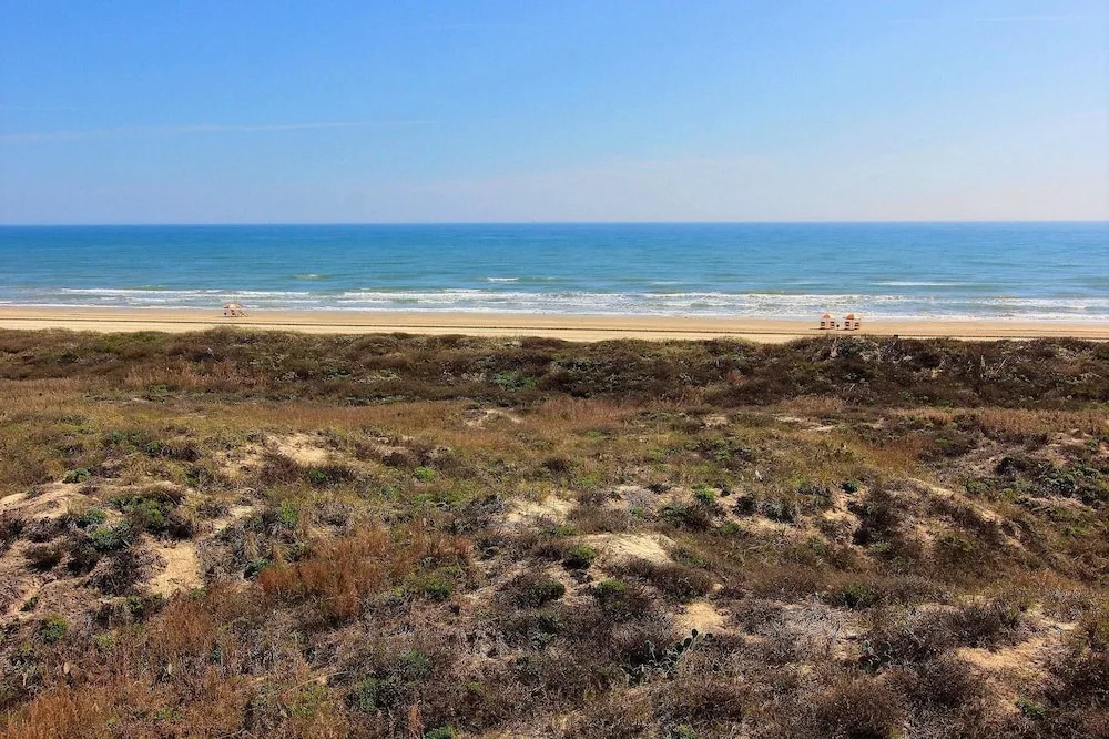Cinnamon Shore- Sea Glass 202 SE