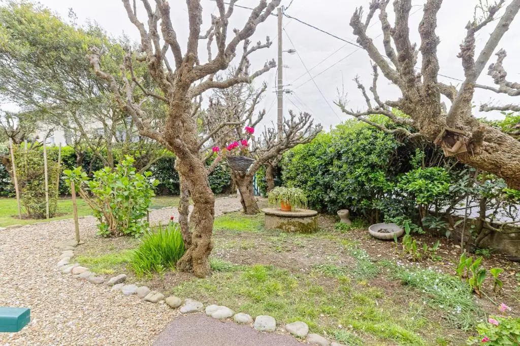 Toki Eder Anglet - Terrasse - Jardin - Océan - 4 chambres