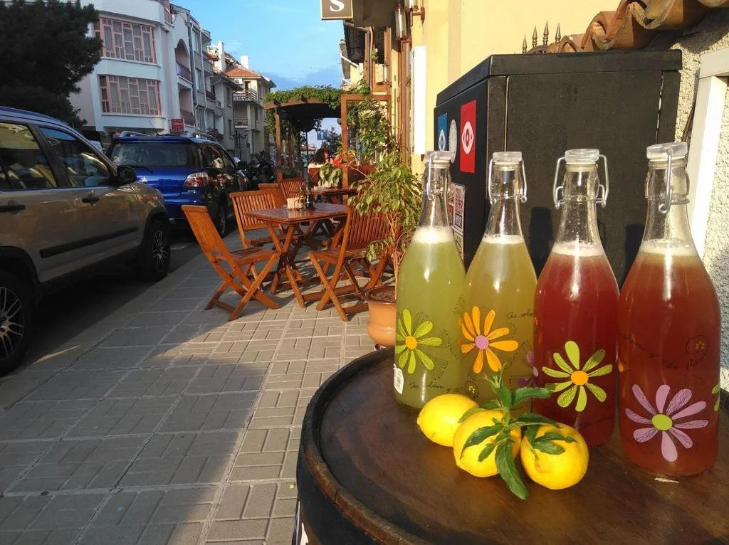 Hotel Albatros New Town